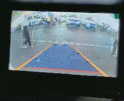 ai-pedestrian-detection-camera demo